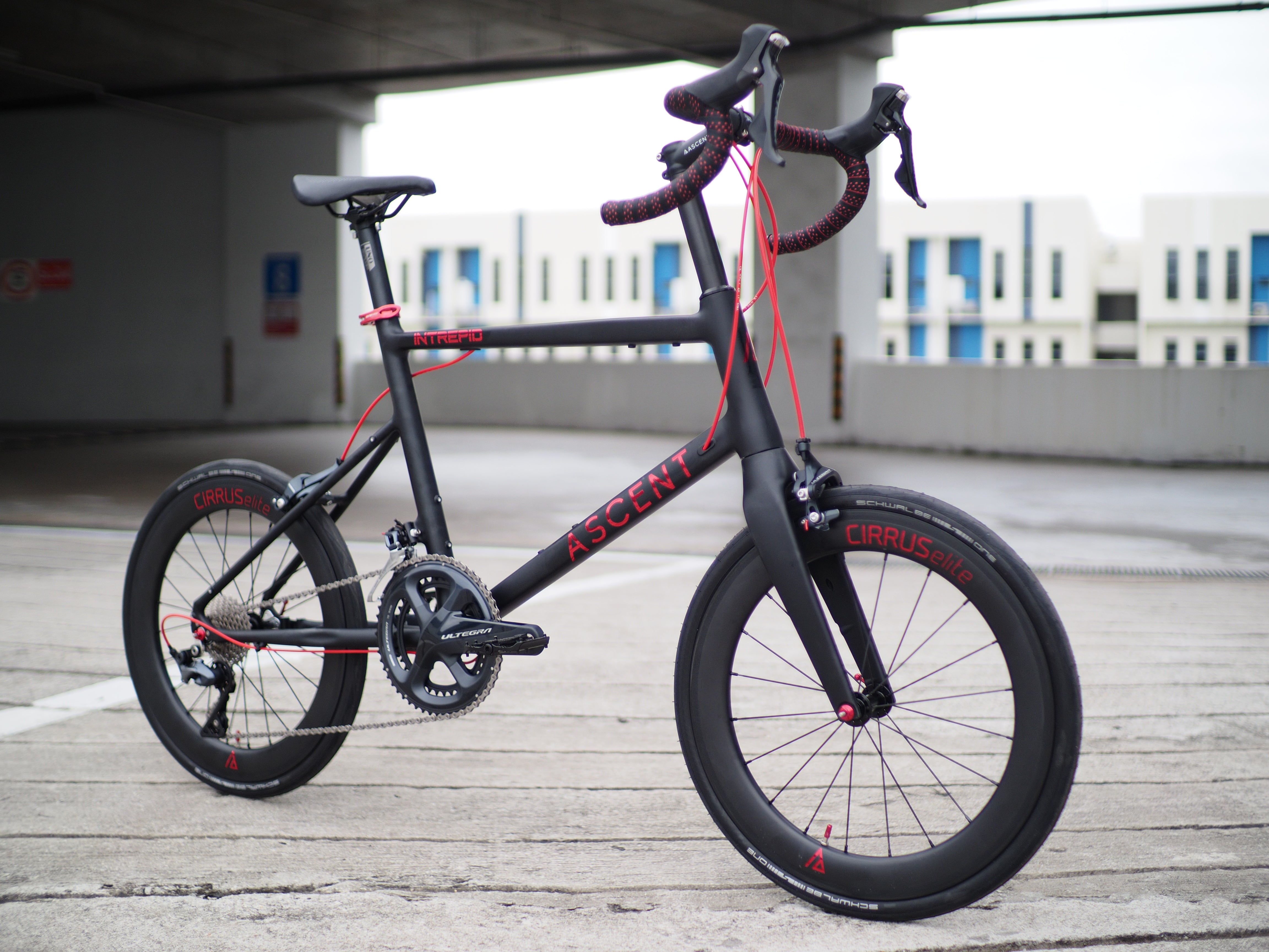 Cirrus folding bike clearance