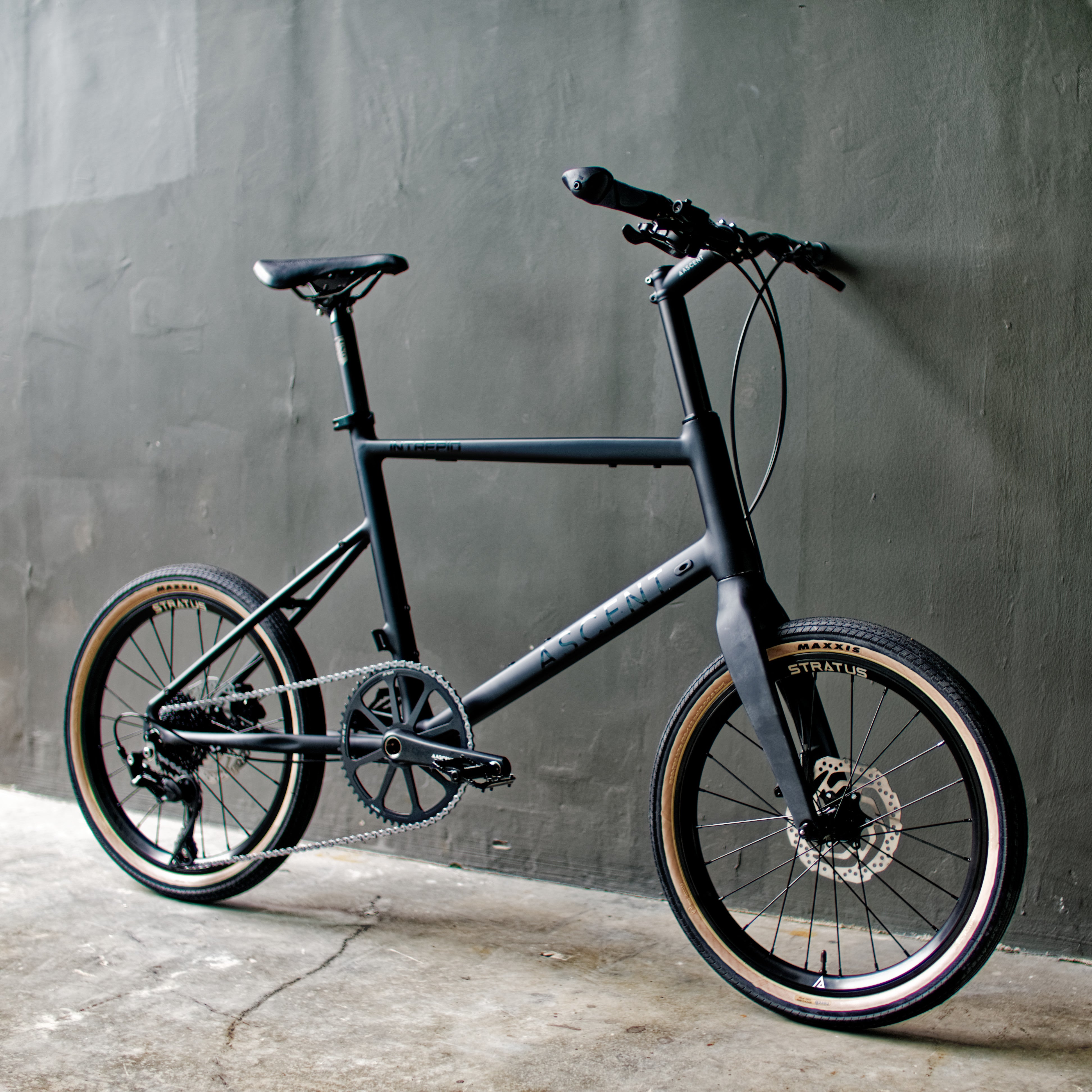 Intrepid Flatbar Wide Tire – Ascent Bikes